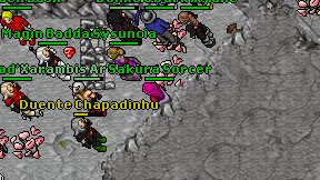 Sakura Sorcer on screen