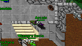 Ascais on screen