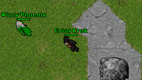 Erius Krok on screen