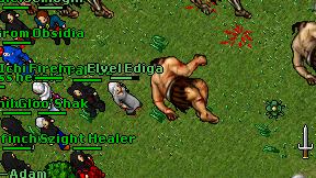 Elvel Ediga on screen