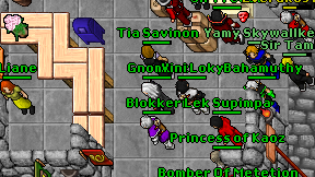 Gnomozz on screen