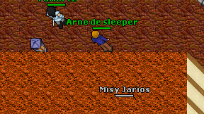 Arne de sleeper on screen