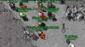 Flak Canon on screen