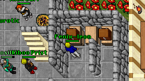 Fenix-leon on screen