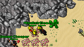 Kraken Elemental on screen