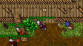 Nastan Druid on screen