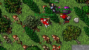 Kodomami on screen