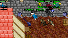 Potter-Mage on screen