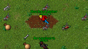 Hochsztapler on screen