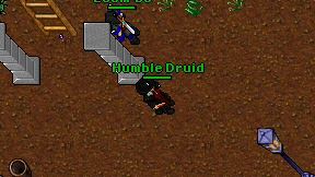 Humble Druid on screen