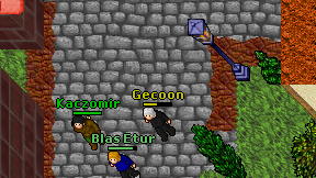 Gecoon on screen