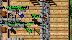Hewoz on screen