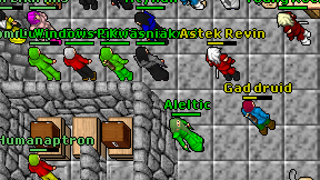 Gad druid on screen
