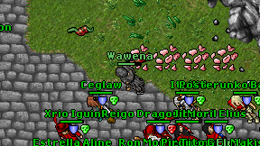 Wawena on screen