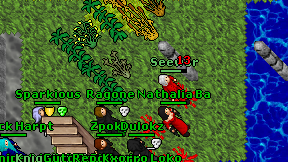 Seewor on screen