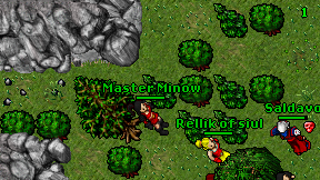 Master Minow on screen