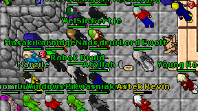 Nads druid on screen