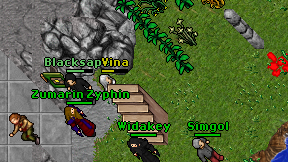 Vina on screen
