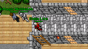Eldin Lite on screen