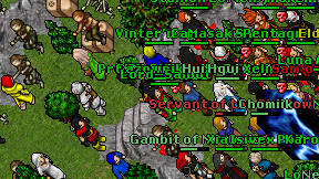 Nodox Toon on screen