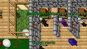 Snake Destroyer on screen