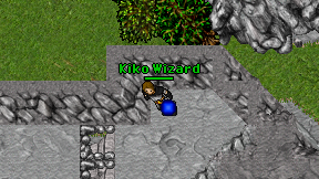 Kiko Wizard on screen