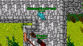 Onimusha Druid on screen