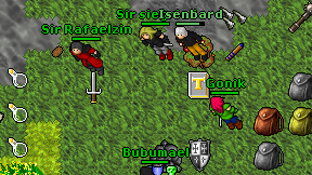 Sir siegried on screen