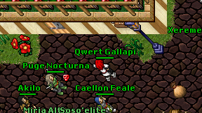 Qwert Gallapi on screen