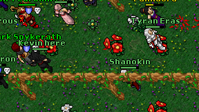 Shanokin on screen