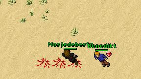 Mosjedebeste on screen
