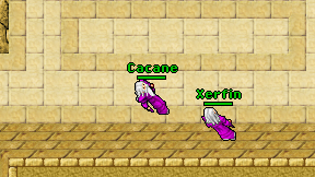 Cacane on screen