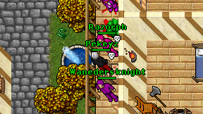 Pekeyz on screen