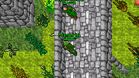 Memija on screen