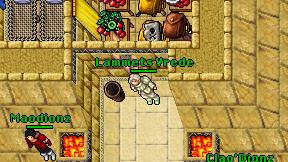 Lammets Vrede on screen