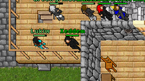 Xeddem on screen
