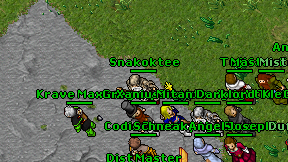 Snakoktee on screen