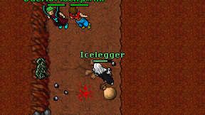 Icelegger on screen