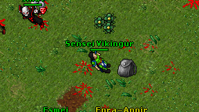Sensei Vikingur on screen