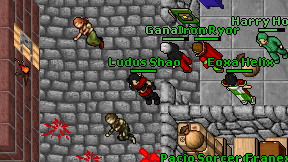 Ludus Shao on screen