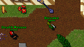 Bizzake on screen