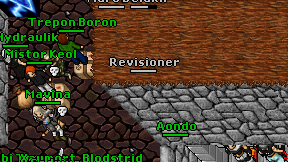 Revisioner on screen