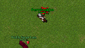 Perro lokko on screen