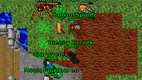 Biedny Zuczek on screen