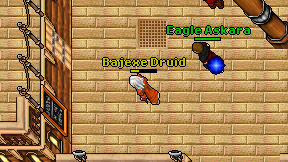 Bajexe Druid on screen
