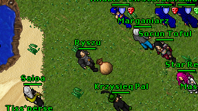 Ryszu on screen