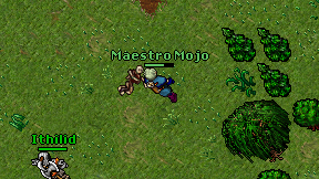 Maestro Mojo on screen