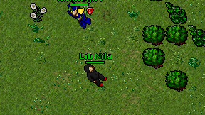 Lib Nila on screen