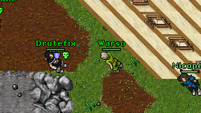 Warso on screen