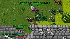 Dodjo Thunderbolt on screen